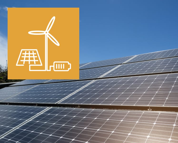 Programas de incentivos ligados al autoconsumo y al almacenamiento con fuentes de energía renovable